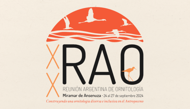 Captura de pantalla 2024-11-26 221639