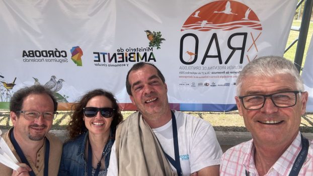 Imagen de WhatsApp 2024-11-26 a las 22.59.54_313744f2